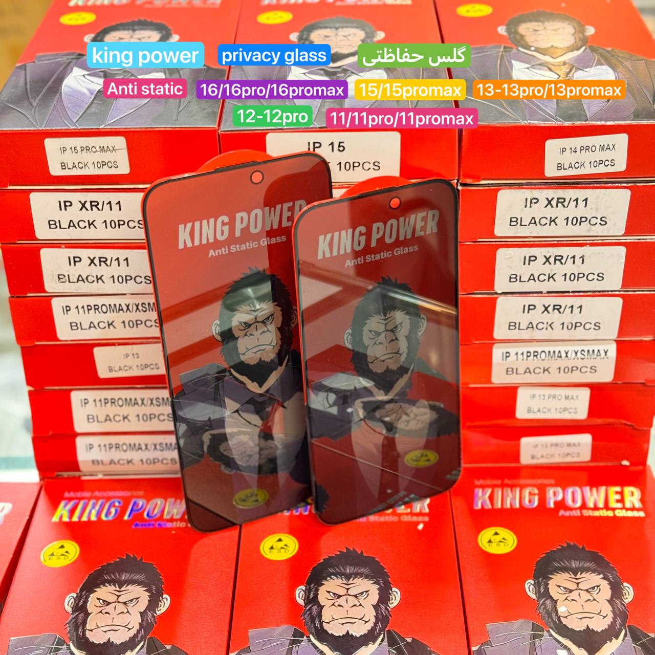 IMG_20250513_105403_502